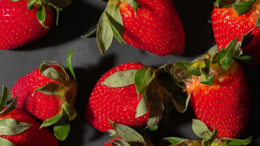Can Dogs Eat Strawberry Leaves?